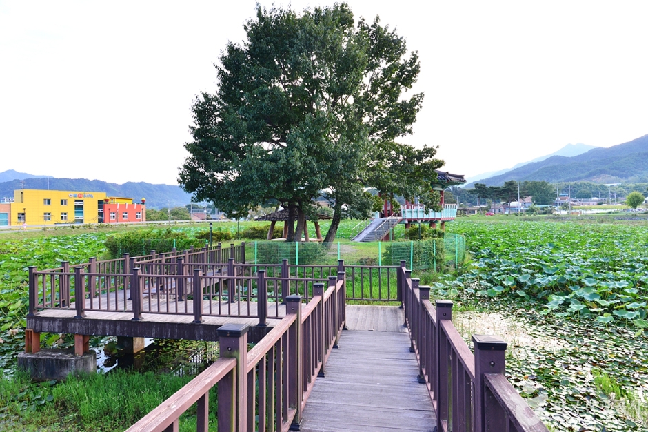 죽동제 여행 추천 - 메고지고 죽동제 여행 추천 - 메고지고