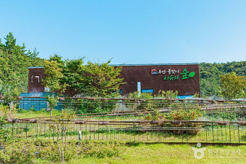 무안 물맞이 치유의 숲 여행 추천 - 메고지고 무안 물맞이 치유의 숲 여행 추천 - 메고지고