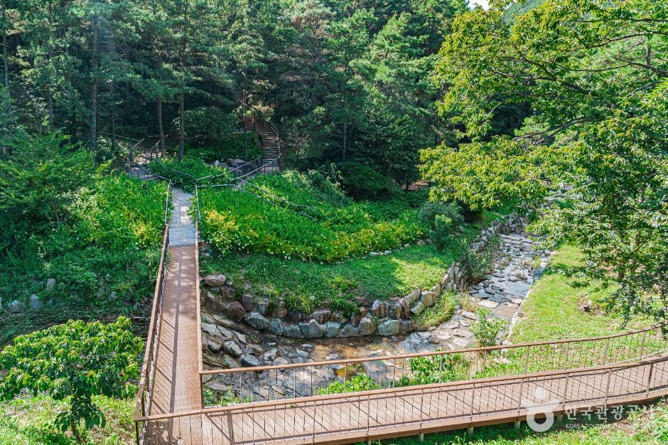 무안 물맞이 치유의 숲 여행 추천 - 메고지고 무안 물맞이 치유의 숲 여행 추천 - 메고지고