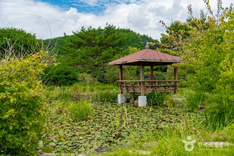 주암호조각공원 여행 추천 - 메고지고 주암호조각공원 여행 추천 - 메고지고