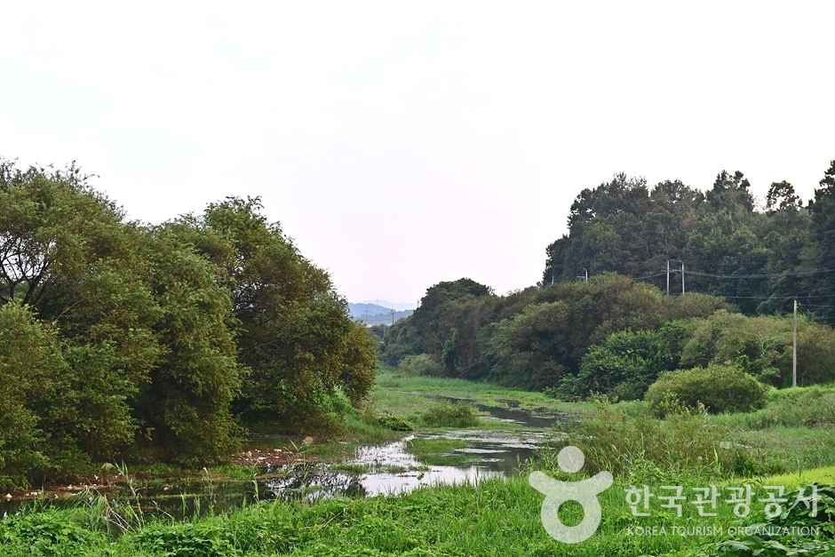 반구정습지 여행 추천 - 메고지고