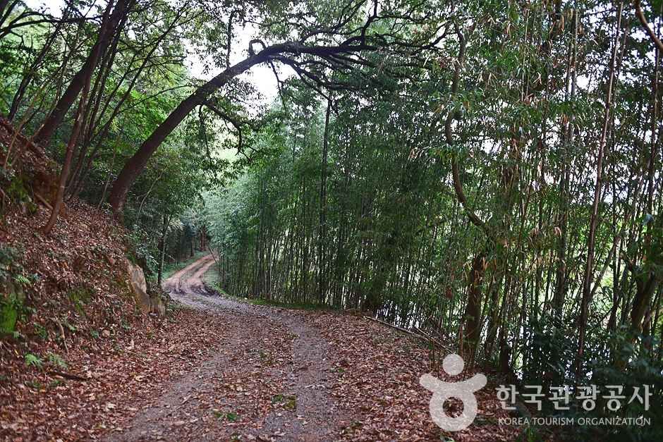 반구정습지 여행 추천 - 메고지고