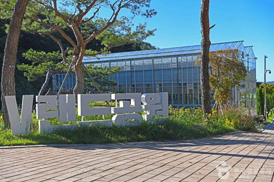 보은산V랜드 여행 추천 - 메고지고 보은산V랜드 여행 추천 - 메고지고