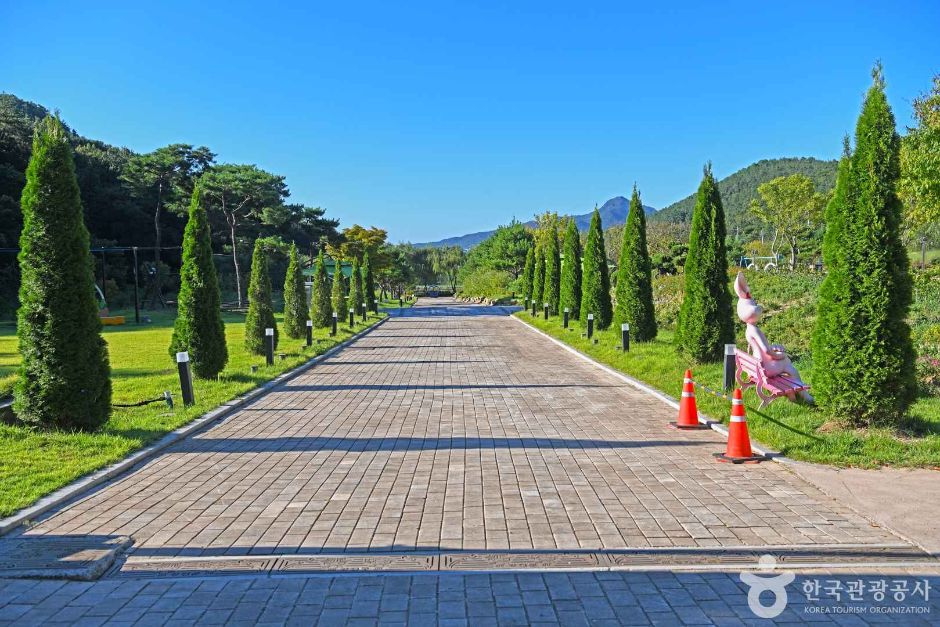 보은산V랜드 여행 추천 - 메고지고 보은산V랜드 여행 추천 - 메고지고