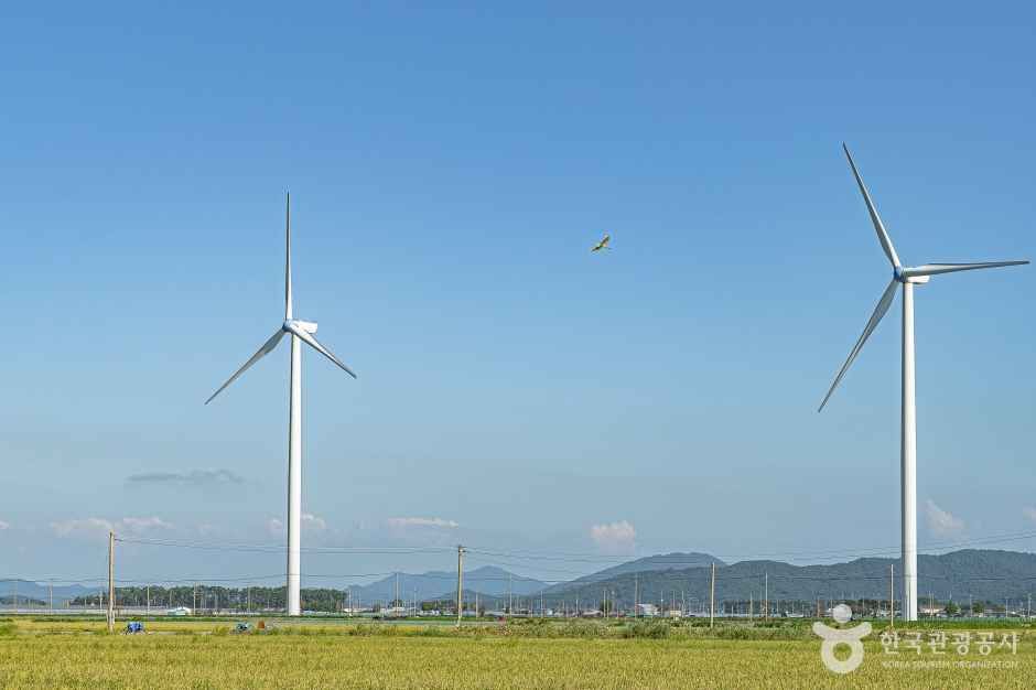 영광풍력발전단지 여행 추천 - 메고지고 영광풍력발전단지 여행 추천 - 메고지고