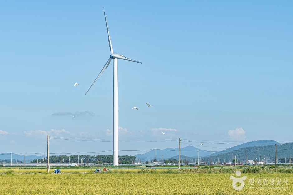 영광풍력발전단지 여행 추천 - 메고지고 영광풍력발전단지 여행 추천 - 메고지고