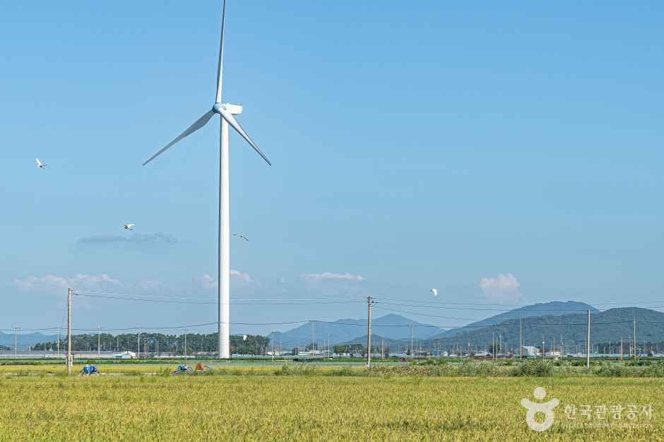 영광풍력발전단지 여행 추천 - 메고지고 영광풍력발전단지 여행 추천 - 메고지고