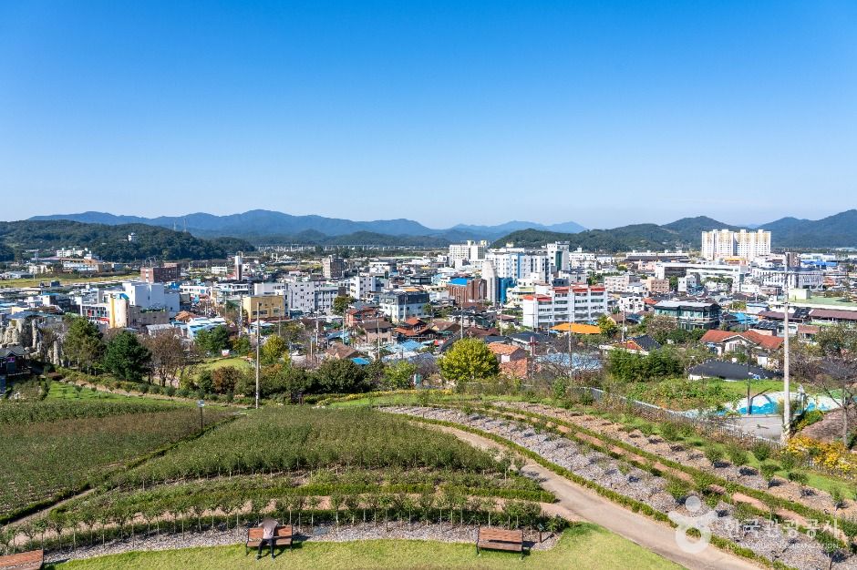 장성무궁화공원 여행 추천 - 메고지고