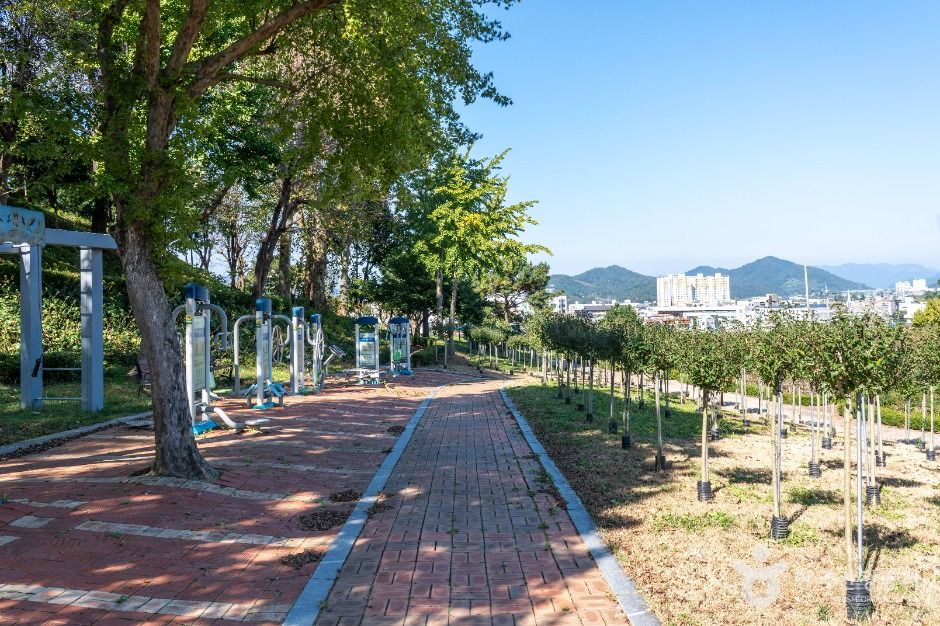 장성무궁화공원 여행 추천 - 메고지고