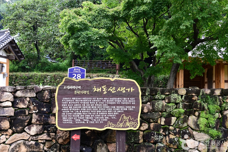 채동선생가 여행 추천 - 메고지고 채동선생가 여행 추천 - 메고지고