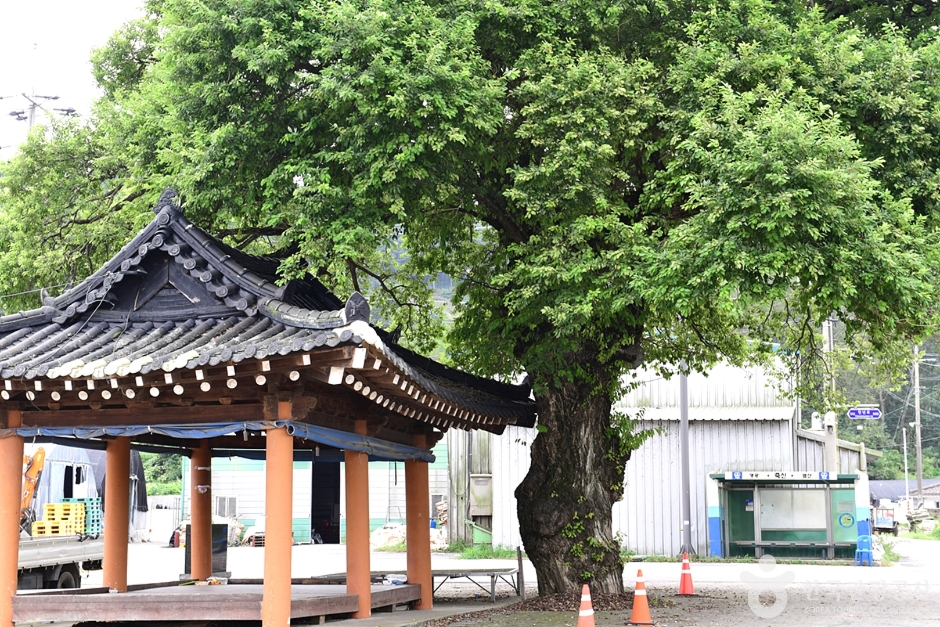 지내들옹기돌탑공원 여행 추천 - 메고지고 지내들옹기돌탑공원 여행 추천 - 메고지고