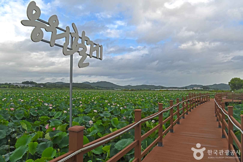 나주 우습제 여행 추천 - 메고지고 나주 우습제 여행 추천 - 메고지고