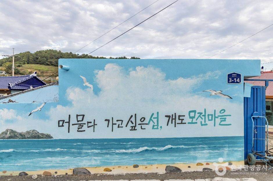 개도 여행 추천 - 메고지고 개도 여행 추천 - 메고지고