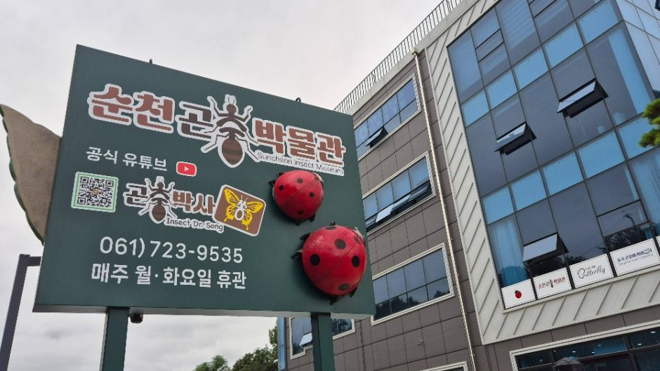 순천곤충박물관 여행 추천 - 메고지고