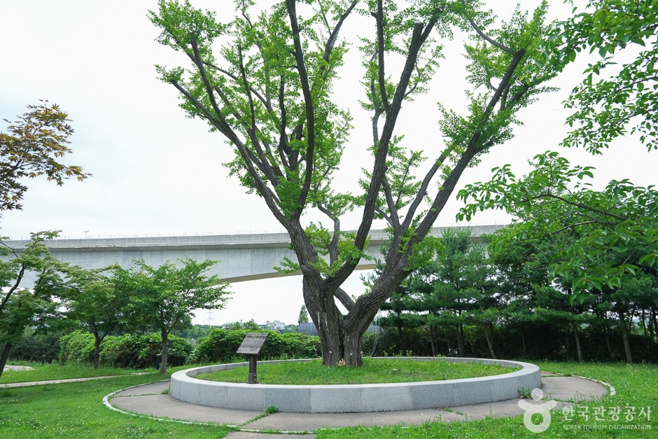 경인아라뱃길 시천공원 여행 추천 - 메고지고 경인아라뱃길 시천공원 여행 추천 - 메고지고