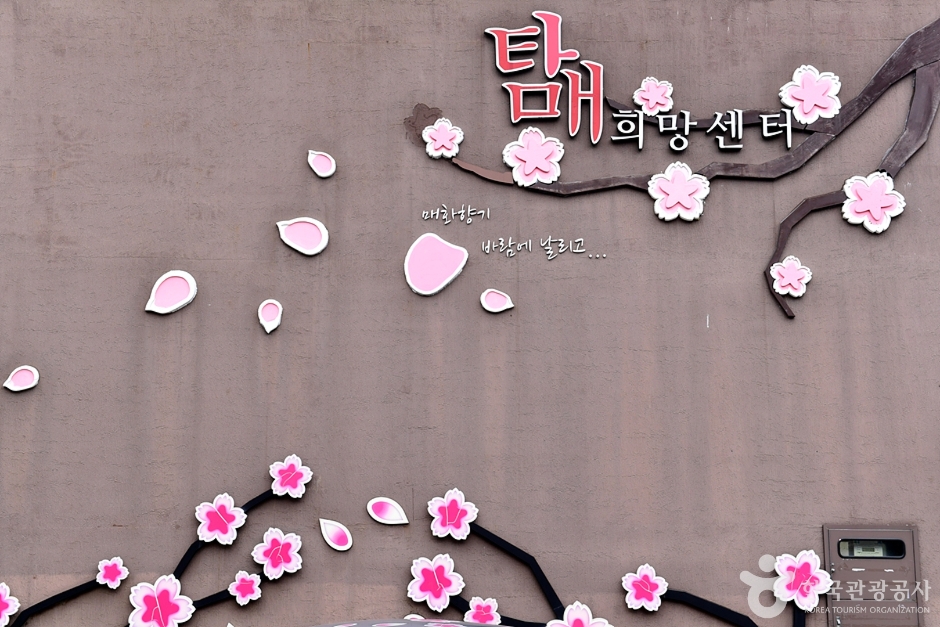 탐매마을 여행 추천 - 메고지고 탐매마을 여행 추천 - 메고지고
