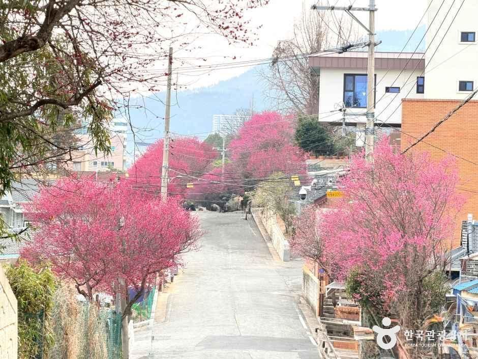 탐매마을 여행 추천 - 메고지고 탐매마을 여행 추천 - 메고지고