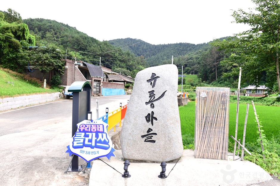 유룡마을 여행 추천 - 메고지고