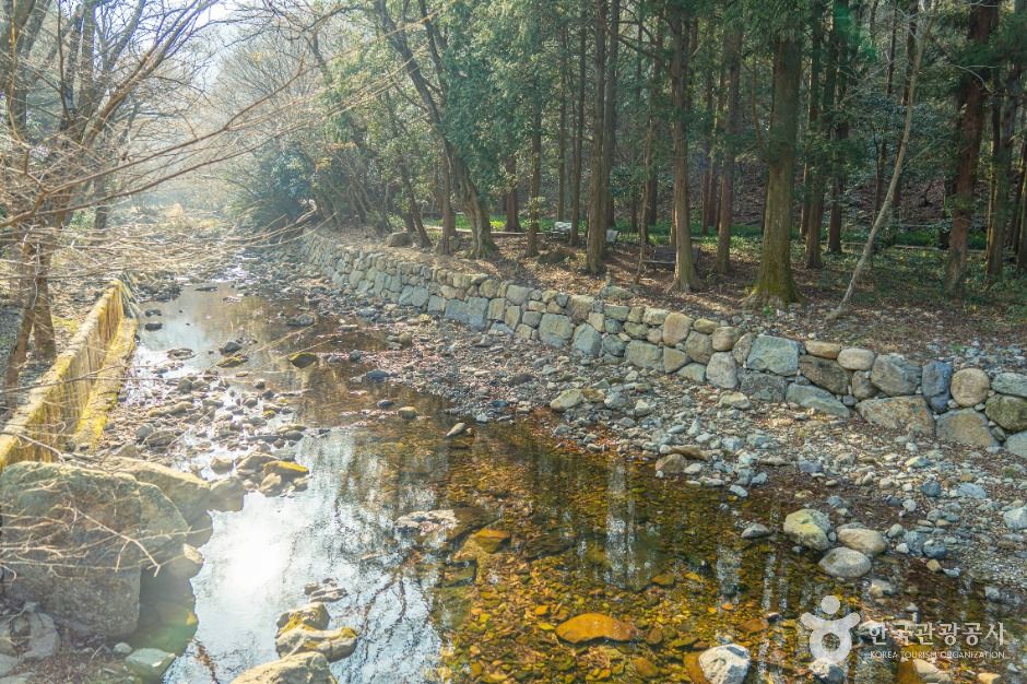 대둔사계곡 여행 추천 - 메고지고 대둔사계곡 여행 추천 - 메고지고