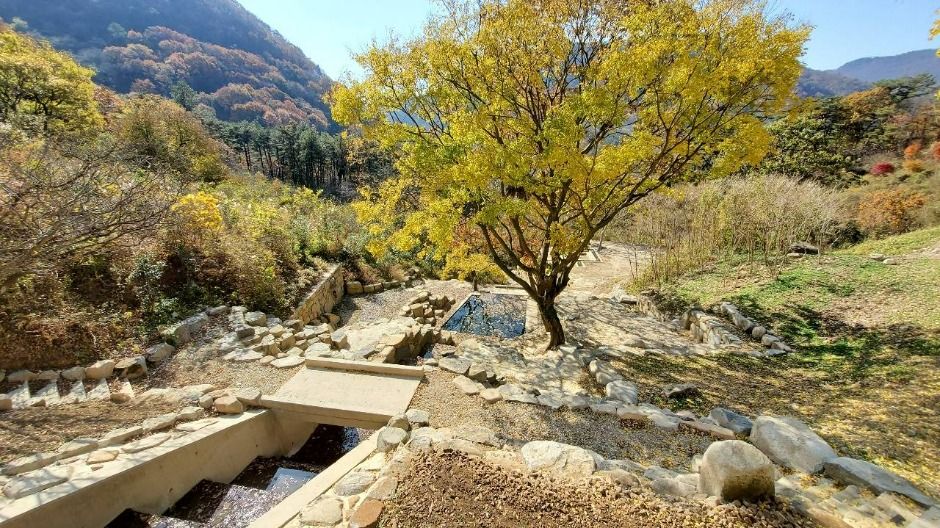 무등산 바우정원 여행 추천 - 메고지고 무등산 바우정원 여행 추천 - 메고지고