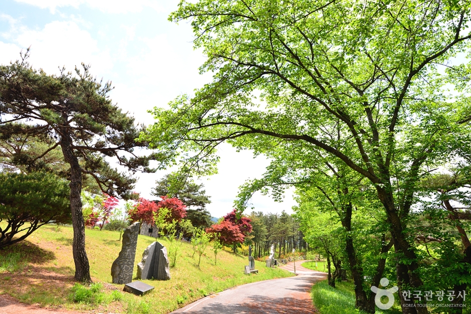 장성호 문화예술공원 여행 추천 - 메고지고 장성호 문화예술공원 여행 추천 - 메고지고