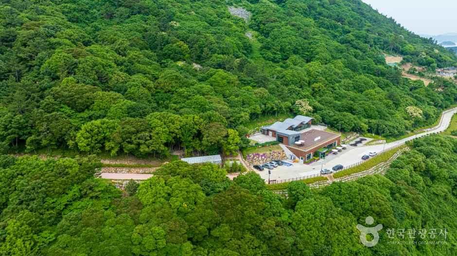 약산 해안 치유의 숲 여행 추천 - 메고지고