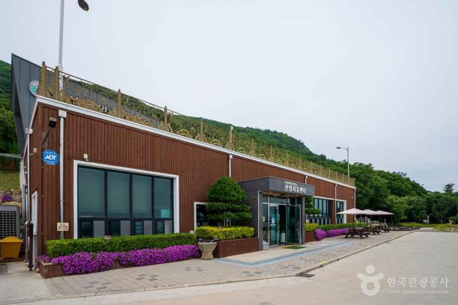 약산 해안 치유의 숲 여행 추천 - 메고지고