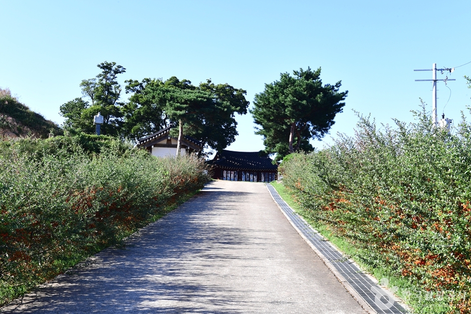 영암읍성 여행 추천 - 메고지고 영암읍성 여행 추천 - 메고지고