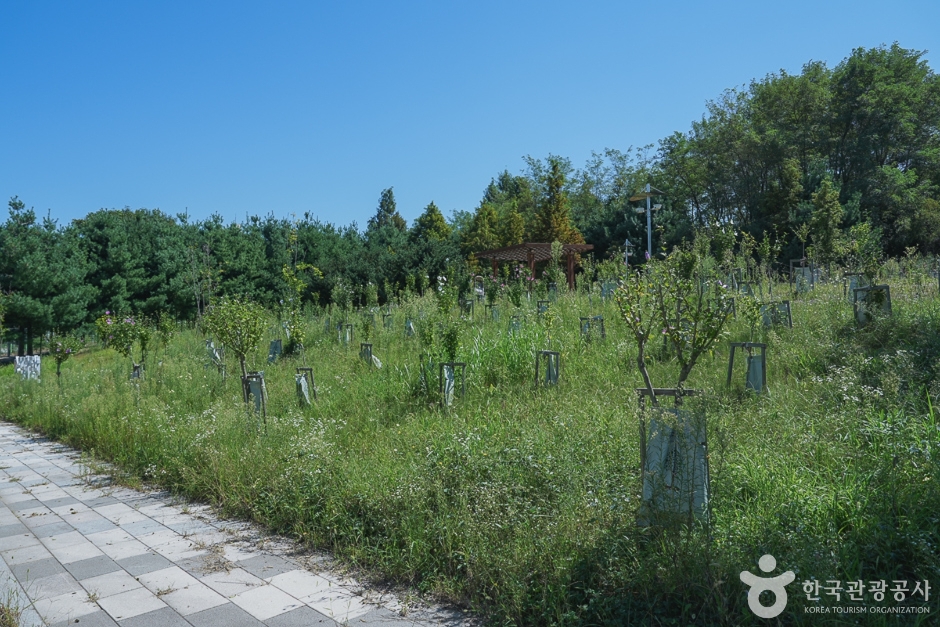 미단씨티1호근린공원 여행 추천 - 메고지고