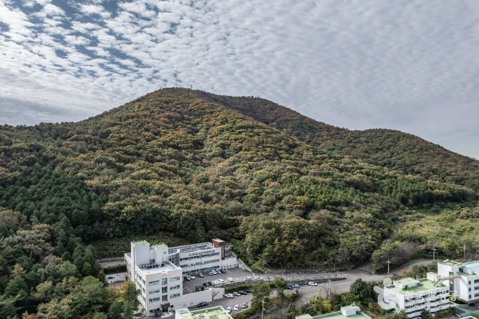 고락산 여행 추천 - 메고지고 고락산 여행 추천 - 메고지고