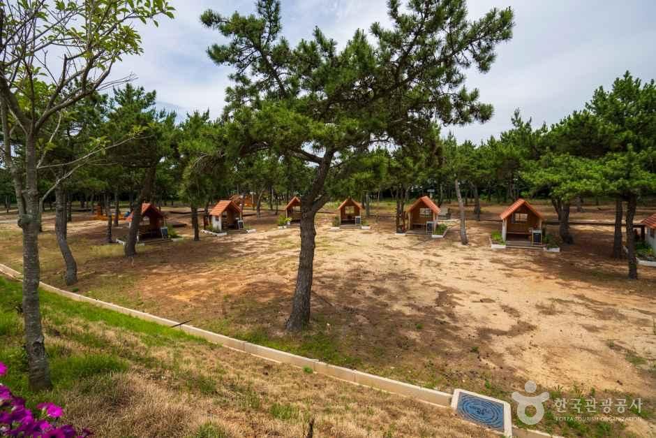 완도해양치유센터 여행 추천 - 메고지고 완도해양치유센터 여행 추천 - 메고지고