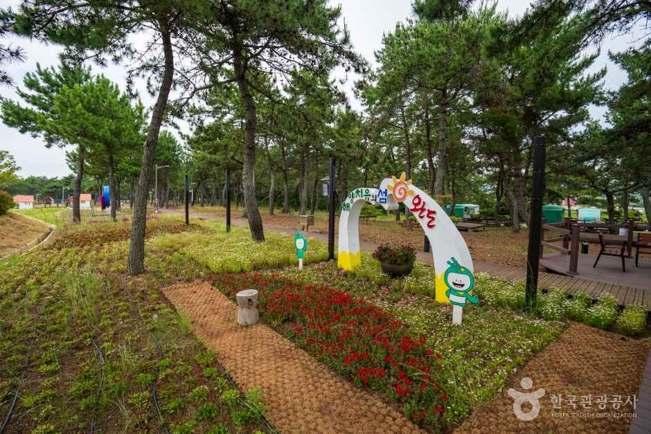 완도해양치유센터 여행 추천 - 메고지고 완도해양치유센터 여행 추천 - 메고지고