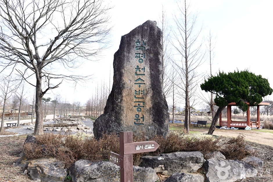 함평천수변공원 여행 추천 - 메고지고