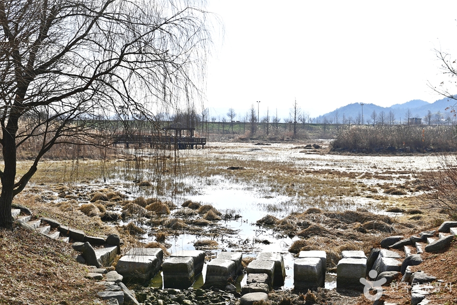 함평천수변공원 여행 추천 - 메고지고