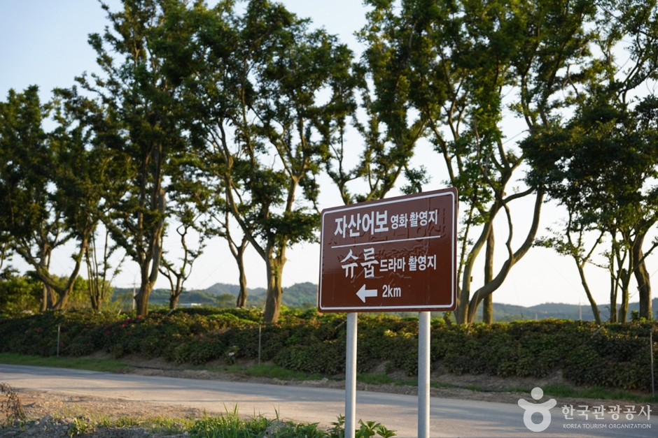 자산어보 촬영지 여행 추천 - 메고지고 자산어보 촬영지 여행 추천 - 메고지고
