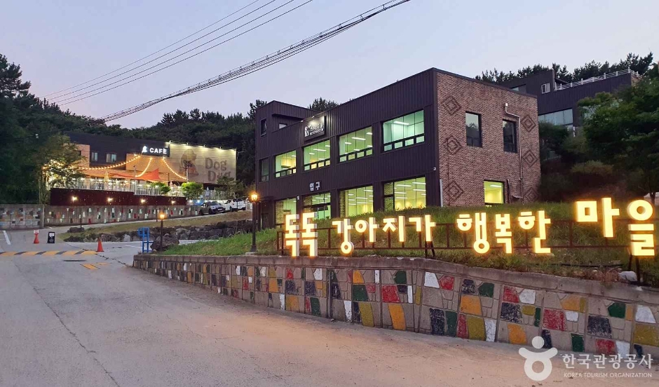 독독 여행 추천 - 메고지고