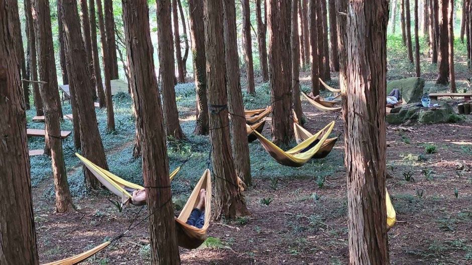 더불어숲 농업회사법인 여행 추천 - 메고지고 더불어숲 농업회사법인 여행 추천 - 메고지고