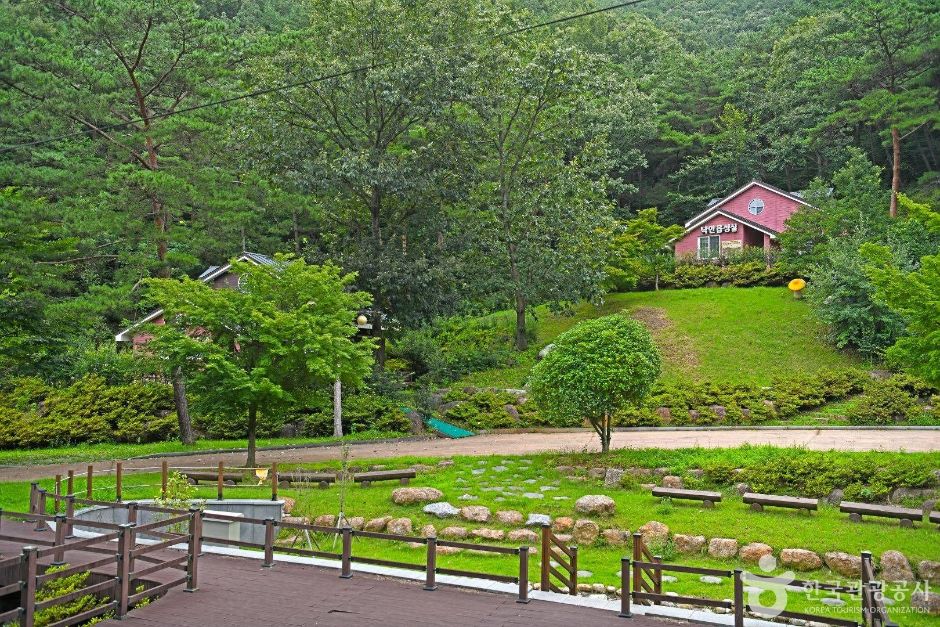 순천자연휴양림 여행 추천 - 메고지고 순천자연휴양림 여행 추천 - 메고지고