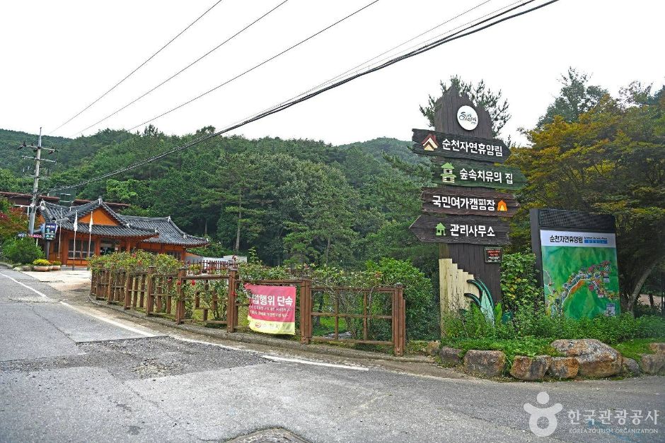 순천자연휴양림 여행 추천 - 메고지고 순천자연휴양림 여행 추천 - 메고지고