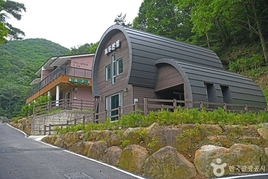 순천자연휴양림 여행 추천 - 메고지고 순천자연휴양림 여행 추천 - 메고지고