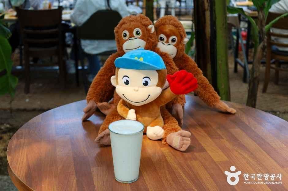 함평바나나생태나라 여행 추천 - 메고지고 함평바나나생태나라 여행 추천 - 메고지고