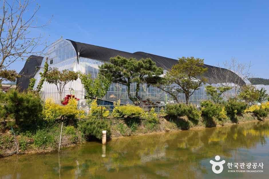 함평바나나생태나라 여행 추천 - 메고지고 함평바나나생태나라 여행 추천 - 메고지고