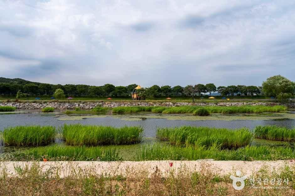 황미르랜드 테마공원 여행 추천 - 메고지고 황미르랜드 테마공원 여행 추천 - 메고지고