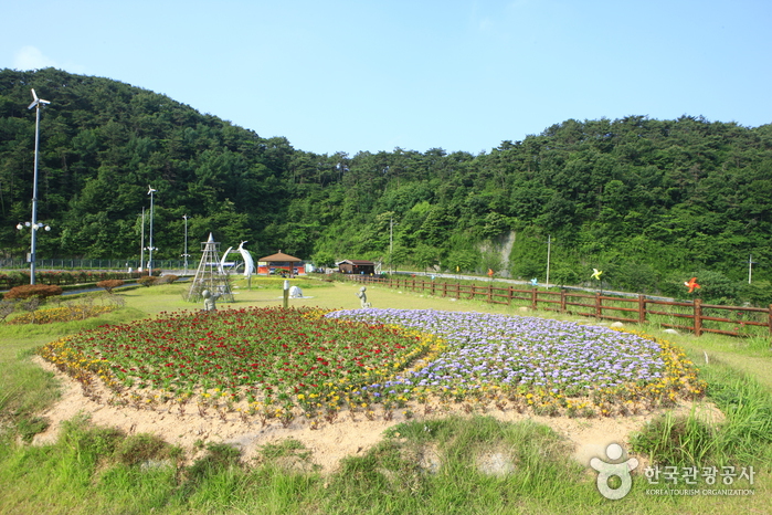 불갑저수지 수변공원 여행 추천 - 메고지고 불갑저수지 수변공원 여행 추천 - 메고지고