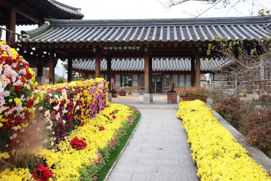 가야금신조기념관 여행 추천 - 메고지고 가야금신조기념관 여행 추천 - 메고지고