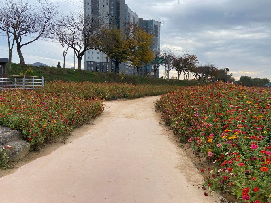 황룡강생태공원 여행 추천 - 메고지고
