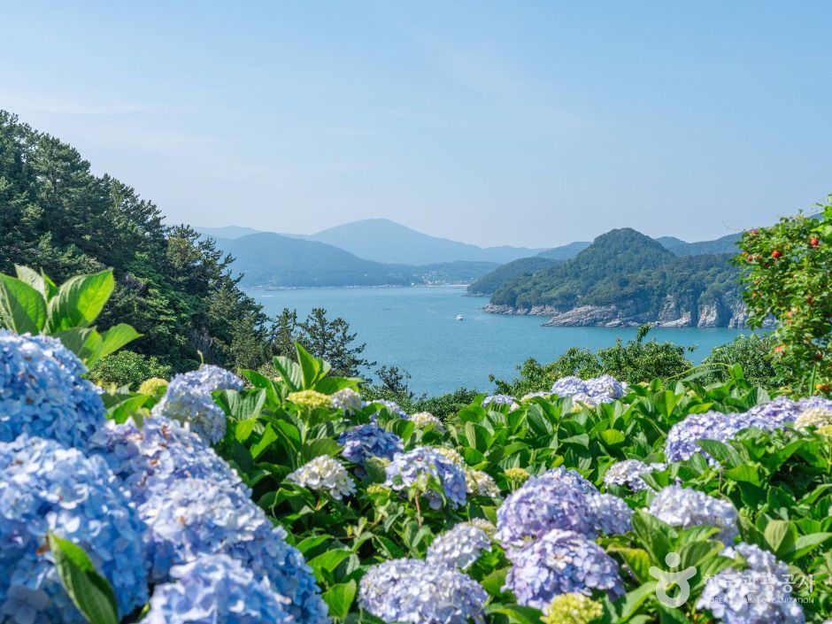 외도 보타니아 여행 추천 - 메고지고 외도 보타니아 여행 추천 - 메고지고