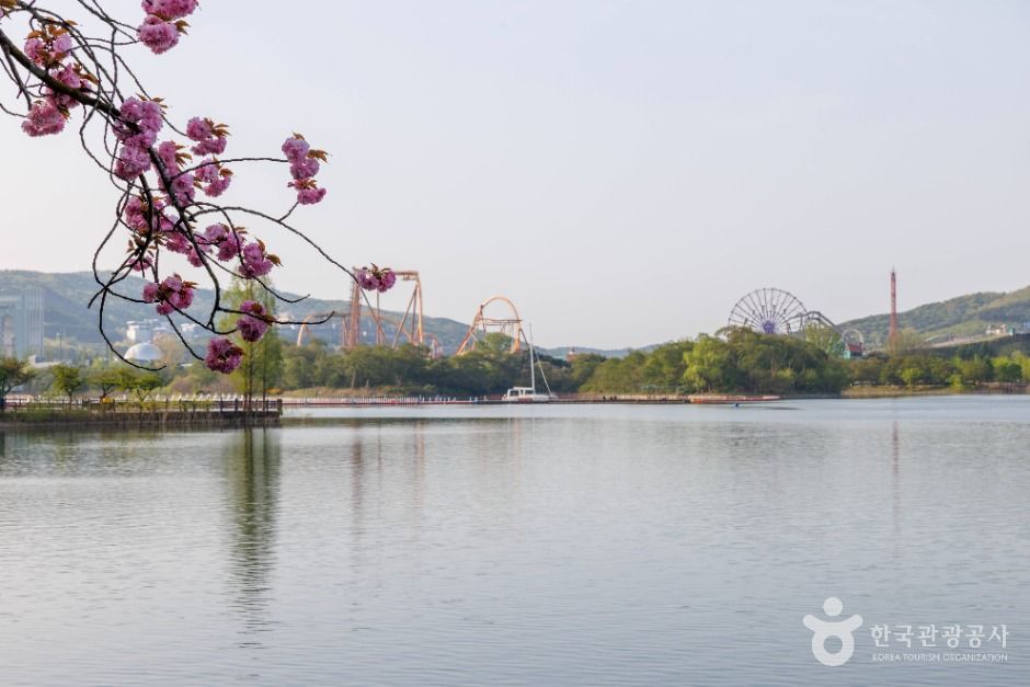 보문호 여행 추천 - 메고지고 보문호 여행 추천 - 메고지고