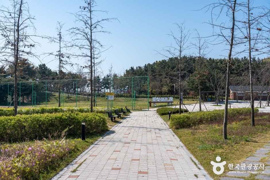 대부도공원 여행 추천 - 메고지고 대부도공원 여행 추천 - 메고지고
