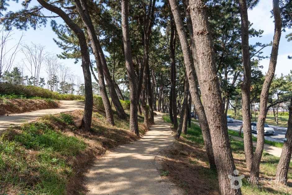 대부도공원 여행 추천 - 메고지고 대부도공원 여행 추천 - 메고지고